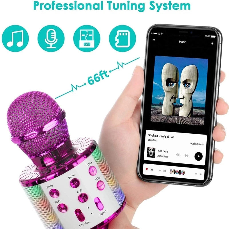 Handheld Karaoke Microphone for Kids/Adults childrensterritory