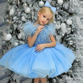 Kids Girls Knee Length Fluffy Princess Party Dresses/Gown childrensterritory