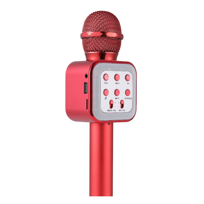 Kids Wireless Handheld Karaoke Microphone childrensterritory