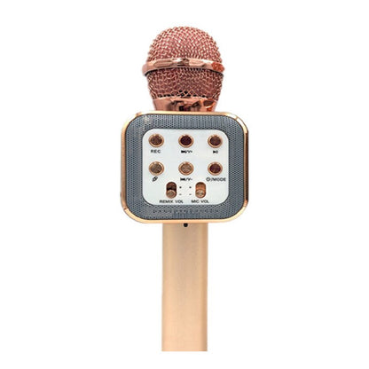 Kids Wireless Handheld Karaoke Microphone childrensterritory