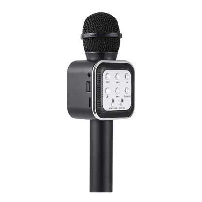 Kids Wireless Handheld Karaoke Microphone childrensterritory
