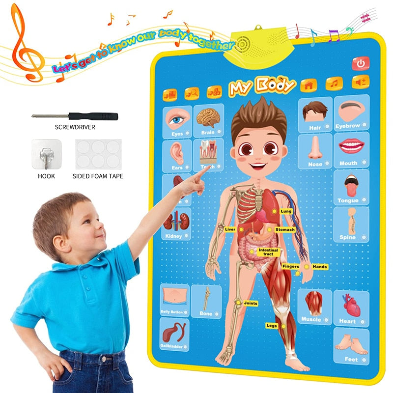 Electronic Early Educational Wall Chart for Kids childrensterritory