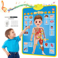 Electronic Early Educational Wall Chart for Kids childrensterritory