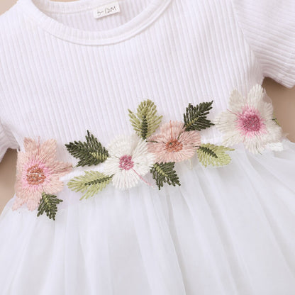 Embroidered Flowers Baby Girl Tulle Party Dress childrensterritory