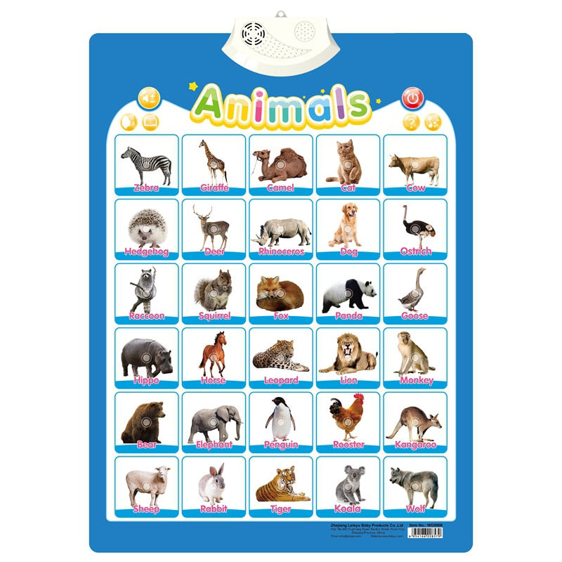 Electronic Early Educational Wall Chart for Kids childrensterritory