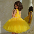 Customized Baby/Kids Girls Glitter Sequins Tulle Gown childrensterritory