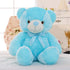 Colorful Glowing Teddy Bear Stuffed Toys for Kids childrensterritory