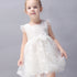 Baby Girl Sleeveless Princess Evening Party Dress childrensterritory