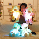 Colorful Glowing Teddy Bear Stuffed Toys for Kids childrensterritory