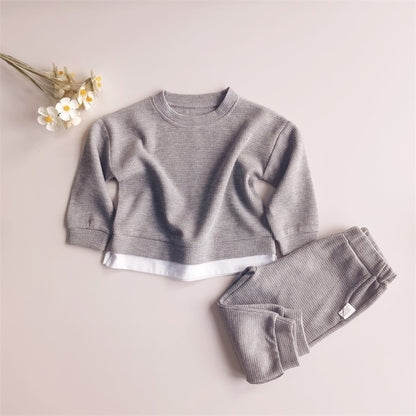 Toddler Girls 2Pcs Round Neck Casual Sportswear childrensterritory
