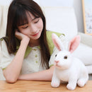 Realistic Rabbit Stuffed Toys for Kids Room Decor childrensterritory