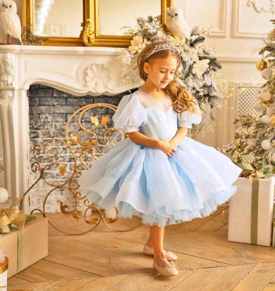 Baby/Kid Girl Fluffy Layers Tulle Princess Birthday Dress childrensterritory