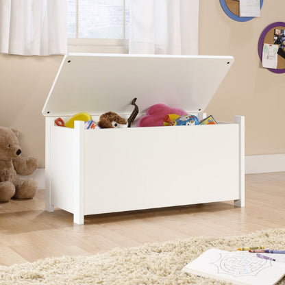Top Wooden Toy Storage Chest with Hinged Safety childrensterritory